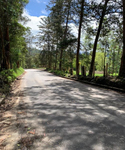 carreteras, alambre para cerramientos