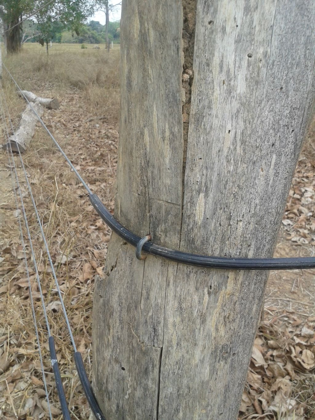 cerramientos cerca electrica