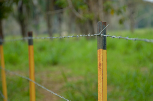 5 Tips para la instalación y manejo de los Alambres de púas