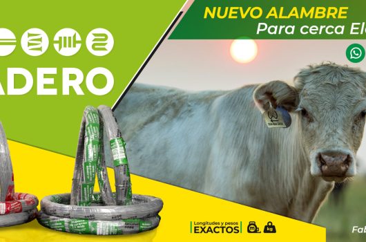 alambre cerca eletrica Ganadero